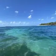 メル