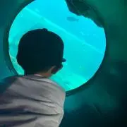 まなの画像