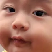 ppjj