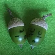 どんぐり♡