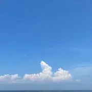 たなたな