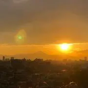 TYの画像