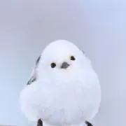 きなこもちの画像