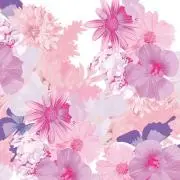 みもれたんの画像