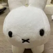 ⭐︎
