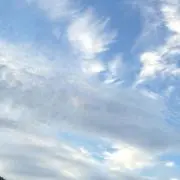 87