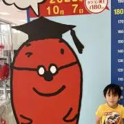 桃(コメ前プロフ必読)