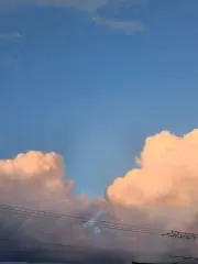 さくらモチモチの画像