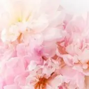 ♡Rii♡即購入大歓迎♡発送ゆっくり♡の画像