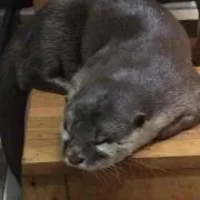 みとの画像