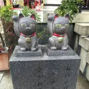 りすの画像