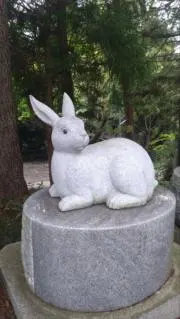 のんのんの画像