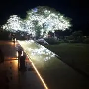 アル