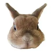 かおりん