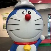 コジオの画像