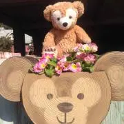 D♡