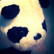 tmmm。