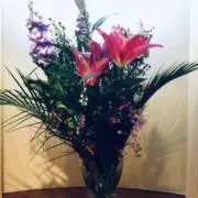 KOKOの画像