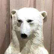 lattaeの画像