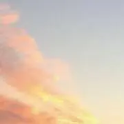 みの画像