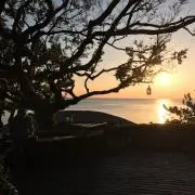 マダム