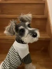 ryojiの画像