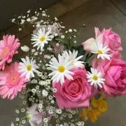花子の画像