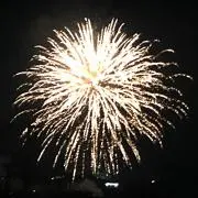 さくら
