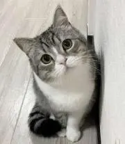 みーちゃん