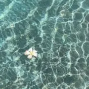 らら★大幅値下げ中の画像