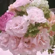 hina108piの画像