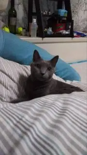 くー