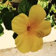 あっきーの画像