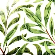 ken-taloの画像