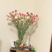 あいあいの画像