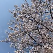 なぁの画像