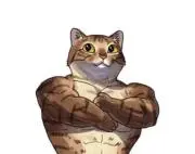 猫ノ助　※プロフ必読の画像