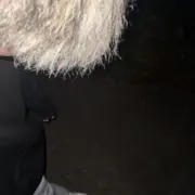 sinkuの画像
