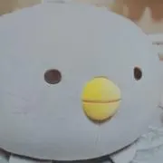 ここはる