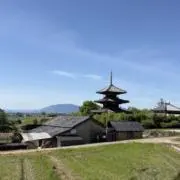 ふーてん