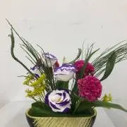よっちゃんの画像