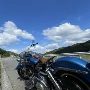かえるの画像