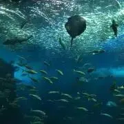 o(^▽^)oプロフ確認お願いします