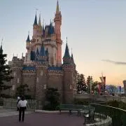 LISAの画像
