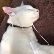 さんきち