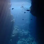 みもあの画像