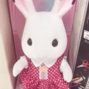 ゆの画像