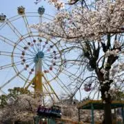 さこゆきの画像