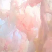S (プロフ必読)の画像