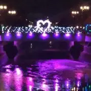みぃの画像